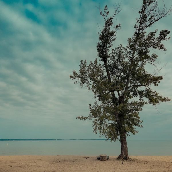 How can you not.love this place? 
.
.
.
.
#vacation #tree #lake #michigan #trees #streetphotography #streetstyle #street #streetart #streetwear #streetfashion #christmastree #vacations #vacationmode #lakelife #lakers #streetdreamsmag #vacationtime #streetphoto #palmtrees #streetfood #bestvacations #streetlife #streets #puremichigan #lakemichigan #streetphotographer #urbanandstreet #lakedistrict #tree_magic